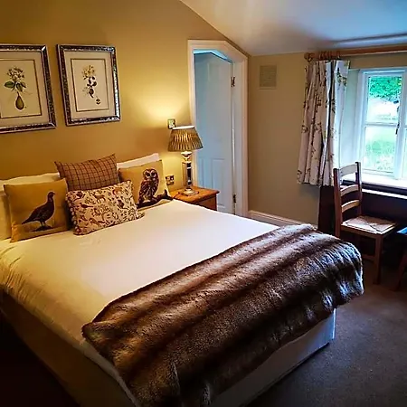Hotel Raheen House