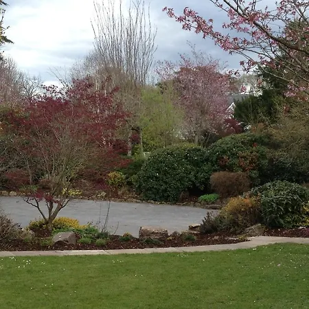 Hotel Raheen House