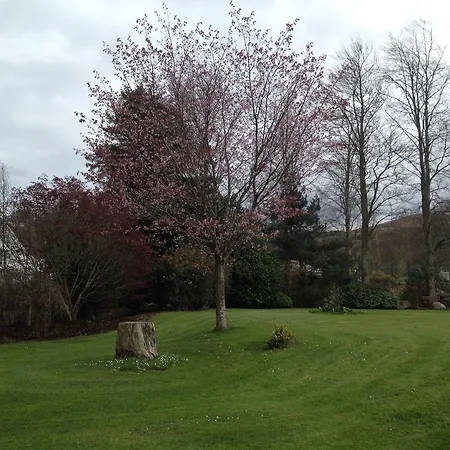 Raheen House Hotel 3*